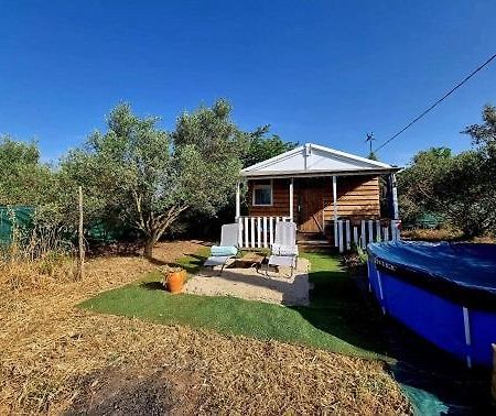 Un Chalet Dans Les Oliviers 3 Nuits Mini นีมส์ ภายนอก รูปภาพ